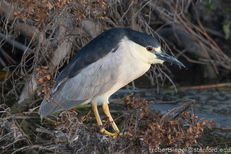 emily renzel wetlands 2023